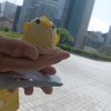 たくさん